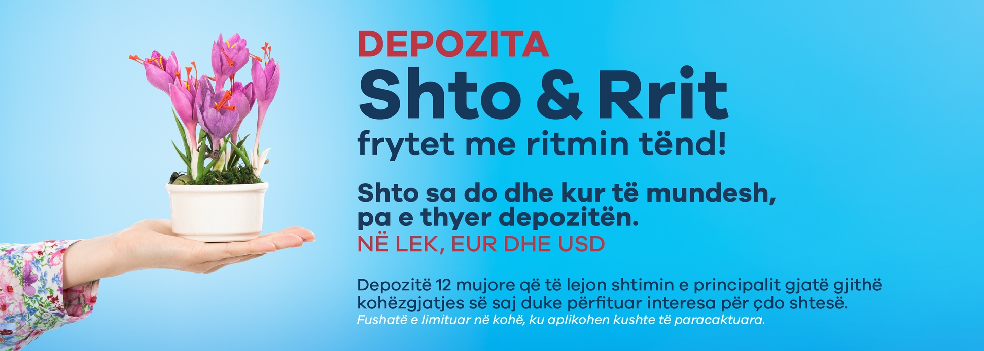 Depozita me shtim te principalit